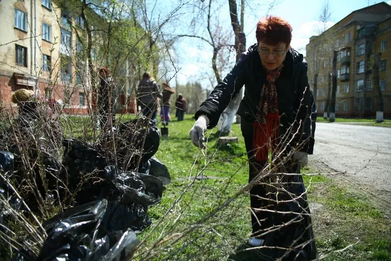 Фото: В Кемерове сажают лес 5
