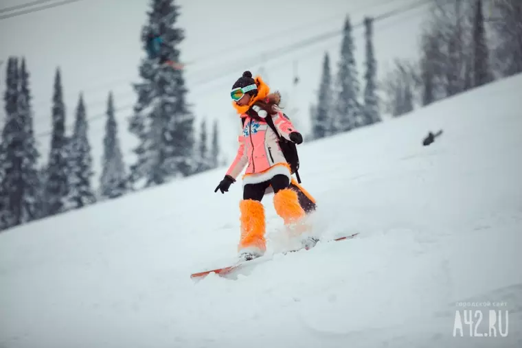Фото: Карнавал на лыжах и сноубордах 1