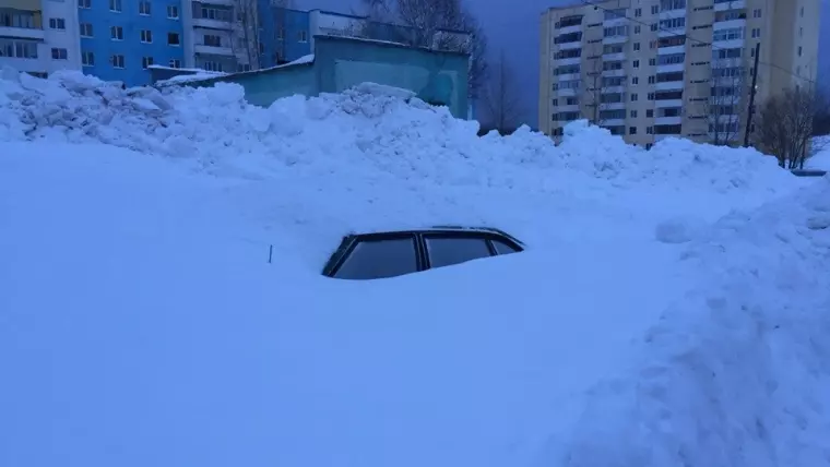 Фото: Снегочат: фоторепортаж кемеровчан о снеге 19