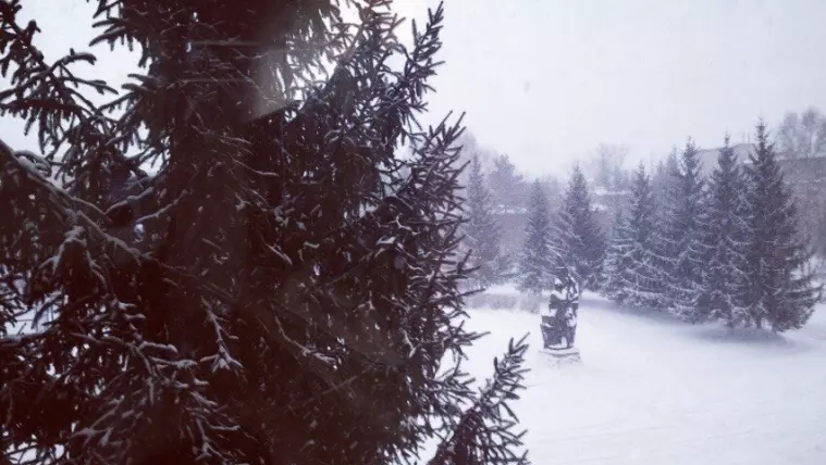 Фото: Снегочат: фоторепортаж кемеровчан о снеге 41
