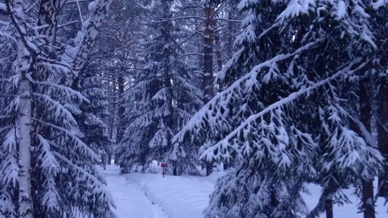 Фото: Снегочат: фоторепортаж кемеровчан о снеге 45