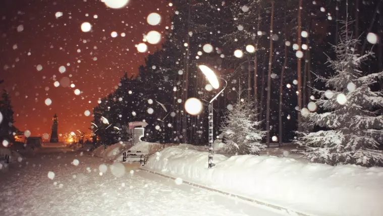 Фото: Снегочат: фоторепортаж кемеровчан о снеге 46