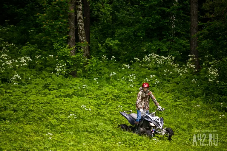 Фото: Прогулка по лесу на квадроцикле в Кемерове 4