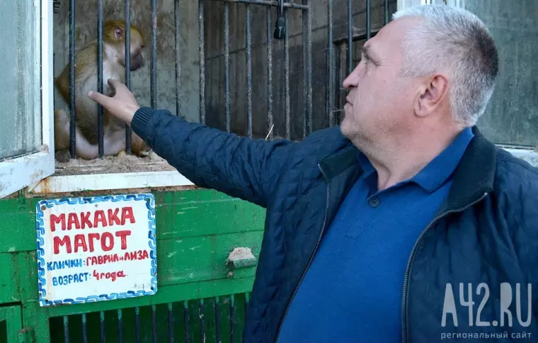 Фото: В Кемерово приехал передвижной зоопарк 15