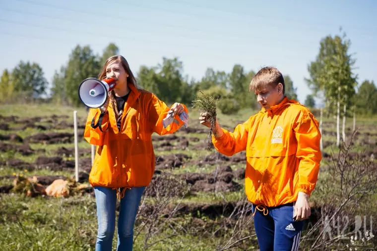 Фото: В Кемерове прошла акция «Дари добро: посади дерево вместе с Good Line» 3