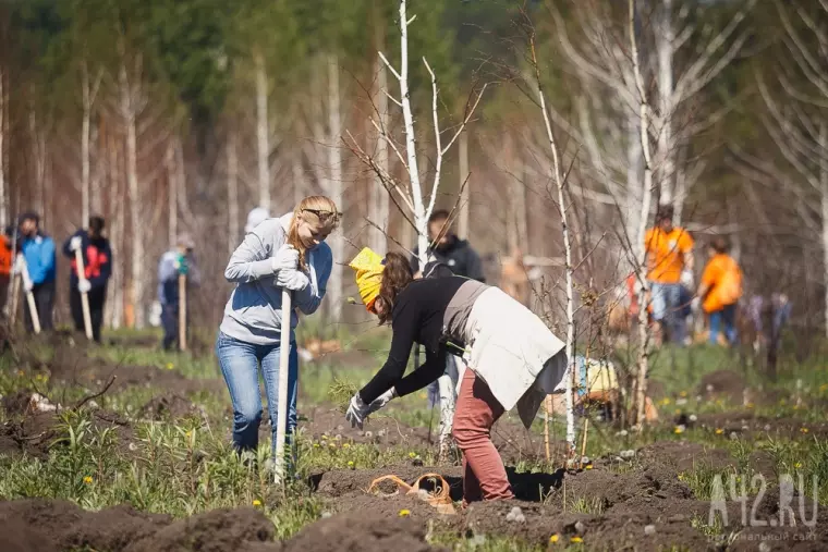 Фото: В Кемерове прошла акция «Дари добро: посади дерево вместе с Good Line» 6
