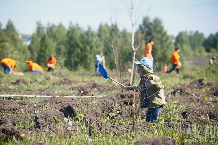 Фото: В Кемерове прошла акция «Дари добро: посади дерево вместе с Good Line» 8
