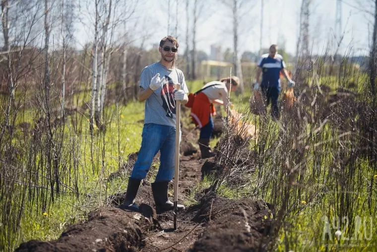 Фото: В Кемерове прошла акция «Дари добро: посади дерево вместе с Good Line» 10