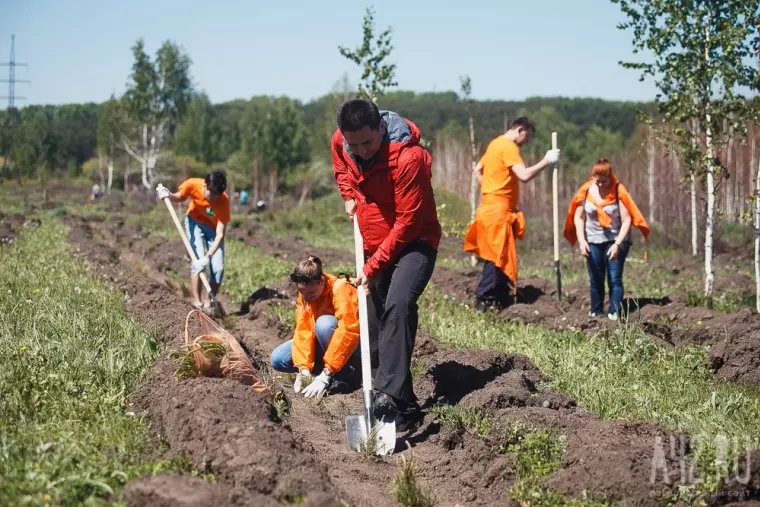 Фото: В Кемерове прошла акция «Дари добро: посади дерево вместе с Good Line» 14