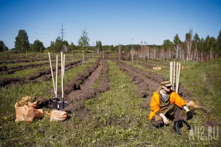 Фото: В Кемерове прошла акция «Дари добро: посади дерево вместе с Good Line» 17