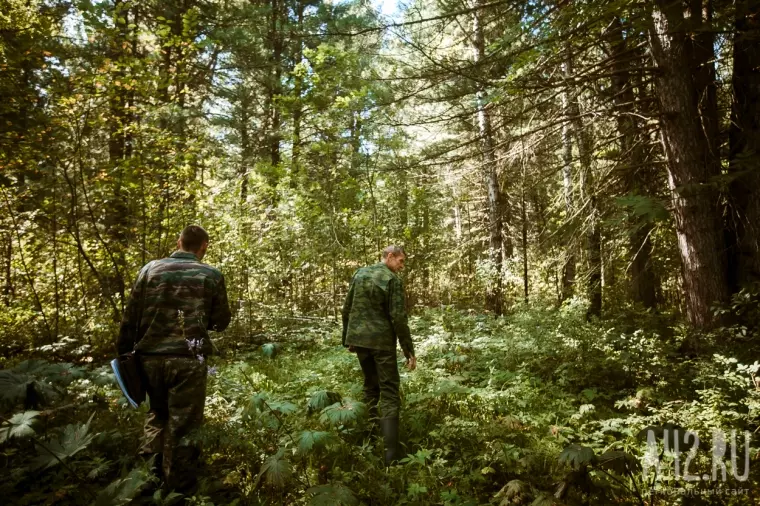 Фото: Поймай, если сможешь: лесные инспекторы против сборщиков шишек 22