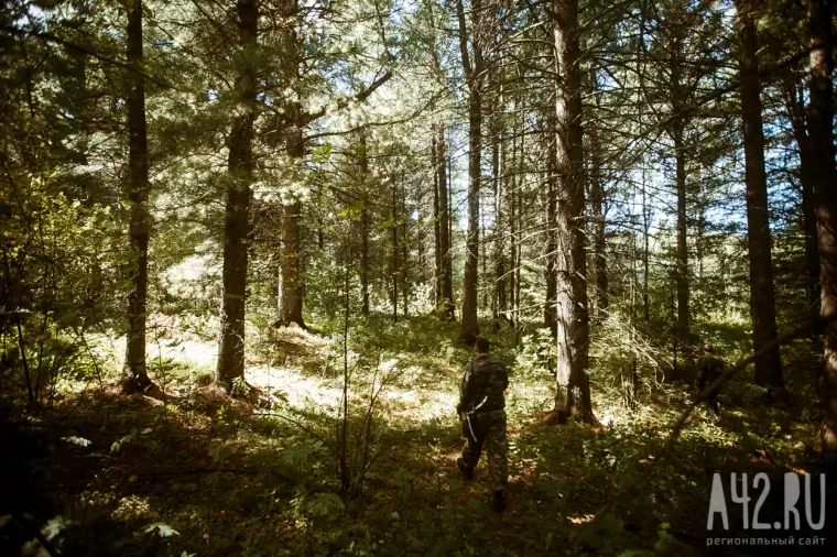 Фото: Поймай, если сможешь: лесные инспекторы против сборщиков шишек 23