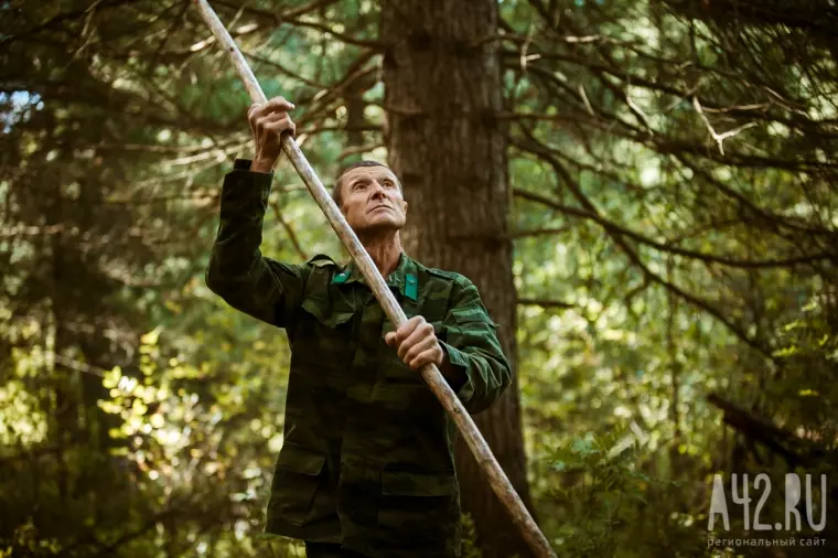 Фото: Поймай, если сможешь: лесные инспекторы против сборщиков шишек 26