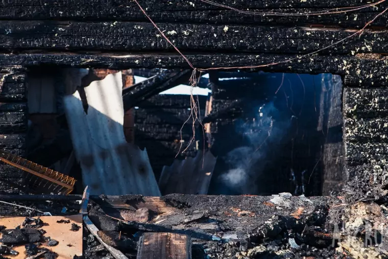 Фото: Пожар в кемеровском приюте для бездомных животных «Верный» 5