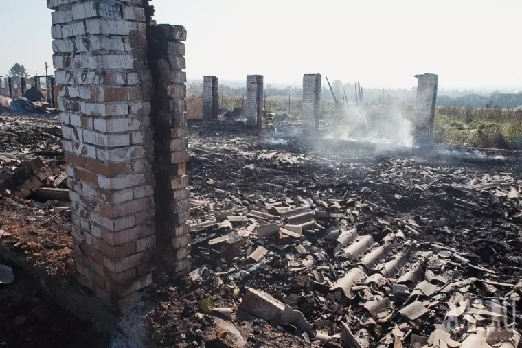 Фото: Пожар в кемеровском приюте для бездомных животных «Верный» 8