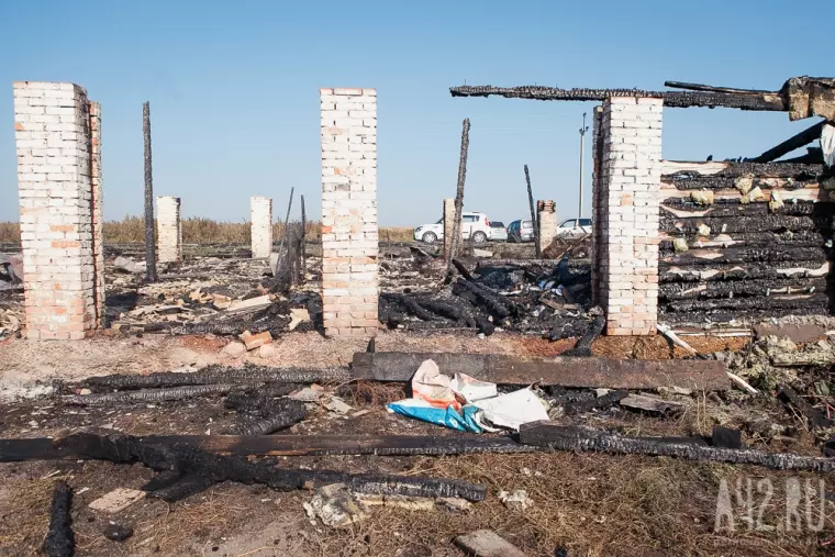 Фото: Пожар в кемеровском приюте для бездомных животных «Верный» 10