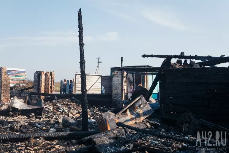 Фото: Пожар в кемеровском приюте для бездомных животных «Верный» 11