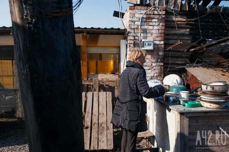 Фото: Пожар в кемеровском приюте для бездомных животных «Верный» 15