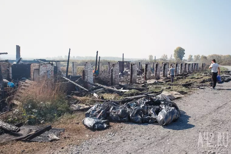 Фото: Пожар в кемеровском приюте для бездомных животных «Верный» 29
