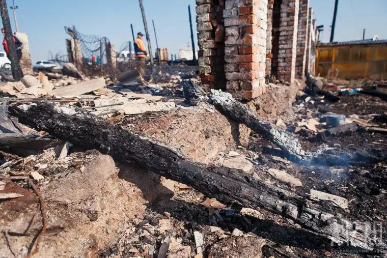 Фото: Пожар в кемеровском приюте для бездомных животных «Верный» 32