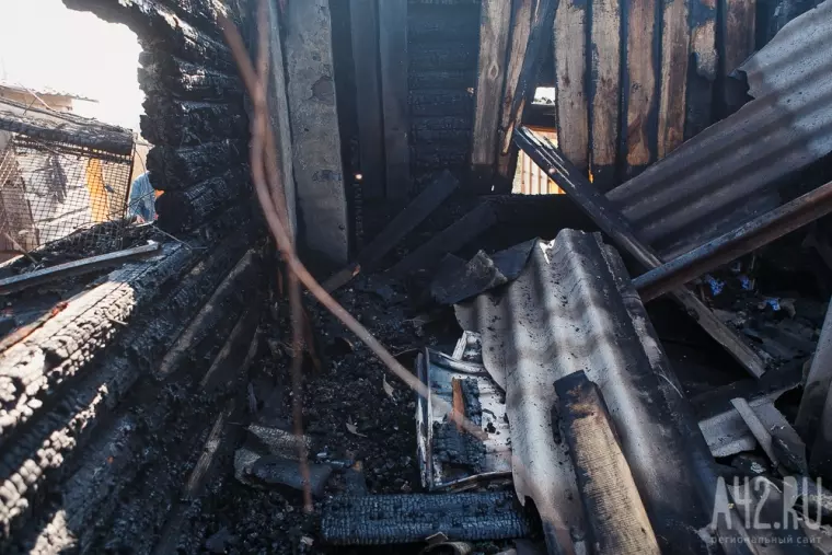 Фото: Пожар в кемеровском приюте для бездомных животных «Верный» 33