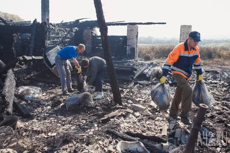 Фото: Пожар в кемеровском приюте для бездомных животных «Верный» 34