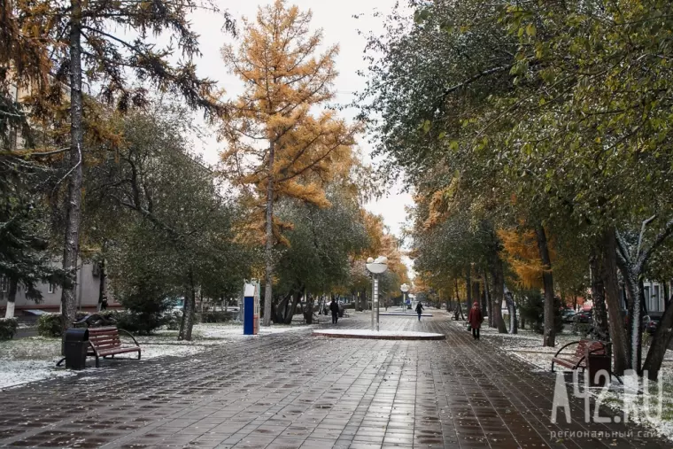 Фото: Белая осень: заснеженный Кемерово 34