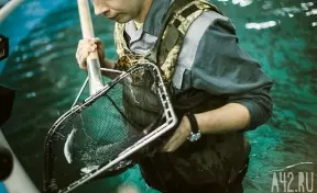 Море не нужно: как вырастить красную рыбу в Сибири 9