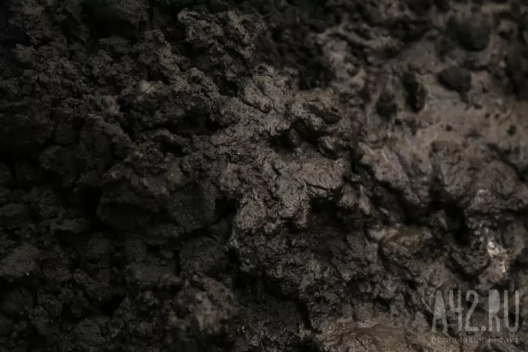 Прощай, кек: экология как бизнес  7