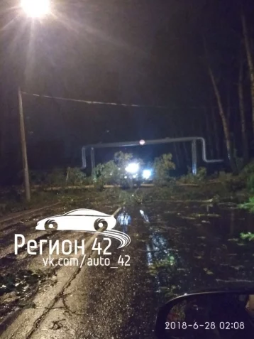 Фото: Кемеровчане делятся в соцсетях снимками последствий ночного урагана 15