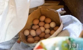 Роспотребнадзор назвал две причины, по которым не стоит хранить яйца в дверце холодильника