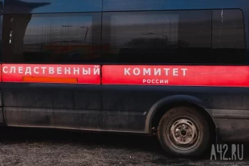 Фото: Глава СК запросил доклад о гибели людей, на которых упало дерево в Новокузнецке 1
