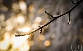 До +10 и порывистый ветер: синоптики рассказали о погоде в Кузбассе 28 марта