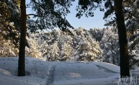 Удар стихии: в Приморье за двое суток выпало 647% месячной нормы снега