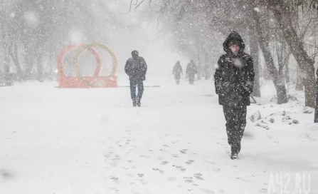 Синоптики пообещали потепление до +6 и дождь в середине недели в Кузбассе