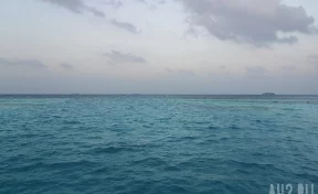 В Приморье нашли тело мужчины, пропавшего вместе с подругой во время прогулки на сапе
