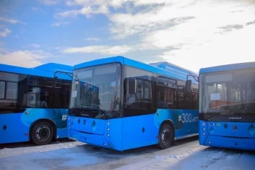 Фото: В Кемеровскую область поступили 20 новых автобусов 1