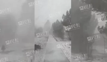 Фото: Кузбассовцы сняли на видео снежную бурю: ухудшение погоды продолжится 25 марта 1