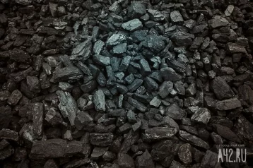 Фото: Более 270 семей кузбассовцев получили бесплатно по четыре тонны угля 1