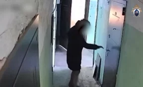 В Подмосковье женщина заживо сожгла соседку