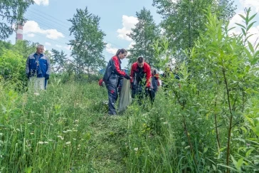 Фото: Волонтёры УК «Кузбассразрезуголь» провели экосубботник в рамках акции «Вода России» 4