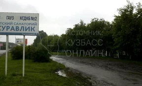 Кемеровчане просят организовать парковку у детского санатория «Журавлик»
