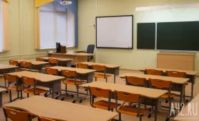 В Челябинской области школу перевели на дистант из-за вспышки кишечной инфекции