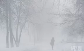 Кузбасские синоптики прокомментировали информацию о 55-градусных морозах, обсуждаемую в соцсетях