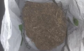 Кузбассовец хранил на крыше сарая пакет с марихуаной