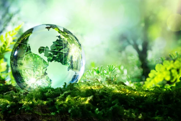 85% россиян озабочены вопросами защиты окружающей среды — опрос Фонда «Экология» РСХБ