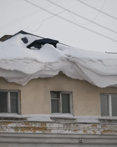 Фото: А42.RU