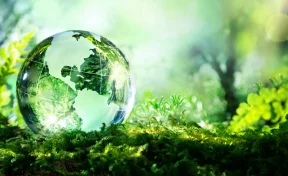 85% россиян озабочены вопросами защиты окружающей среды — опрос Фонда «Экология» РСХБ