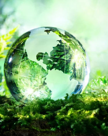 85% россиян озабочены вопросами защиты окружающей среды — опрос Фонда «Экология» РСХБ