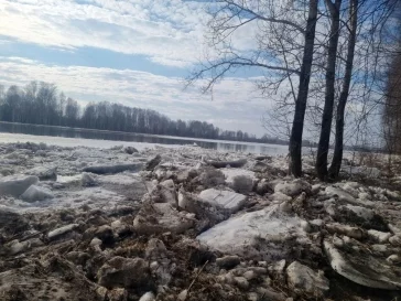 Фото: В Новокузнецком округе вода подтопила три садовых товарищества 2